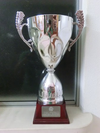 Taça Distrital de Juniores | 2007/08